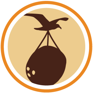 Coconut Migration - Small Batch Edition - American Double IPA, rested on toasted coconut