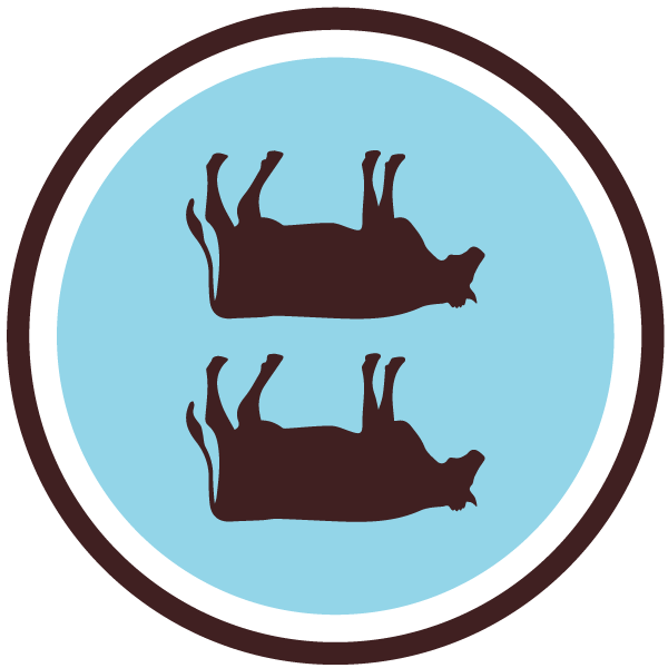 Two Cows (2023) - Imperial Milk Stout Aged in Bourbon Barrel